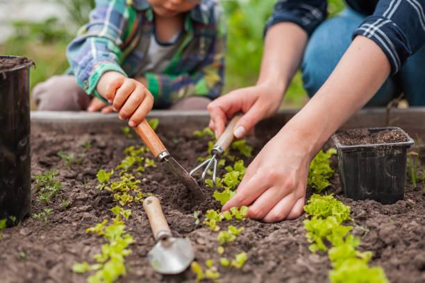 Worm Farming, Composting & Gardening